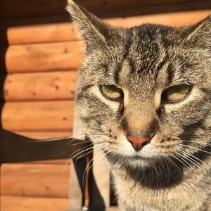 Meet your Posher, Katherine